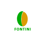 Fontini Consulting Ltd